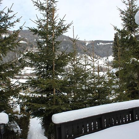 Chalet Heidi Bkk Bad Kleinkirchheim Luaran gambar
